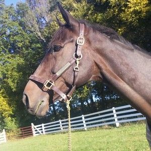 Meet your Posher, Clifford